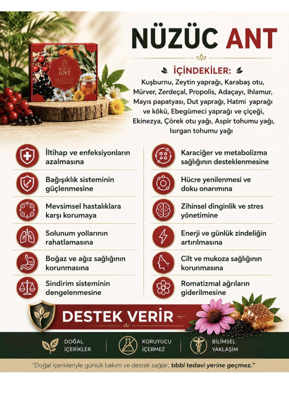 Nüzüç ANT SET